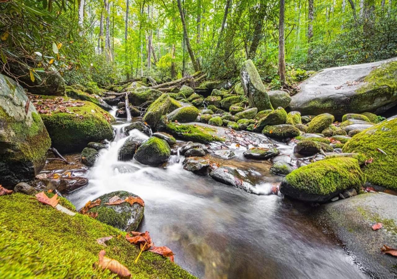 The Grand Orchard Lodge - Gatlinburg, Tn Dış mekan fotoğraf