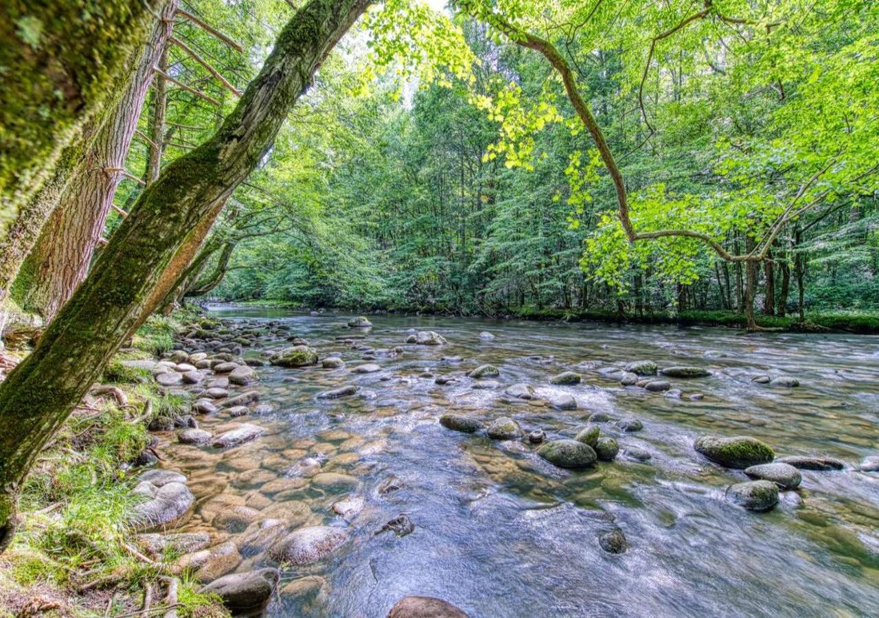 The Grand Orchard Lodge - Gatlinburg, Tn Dış mekan fotoğraf